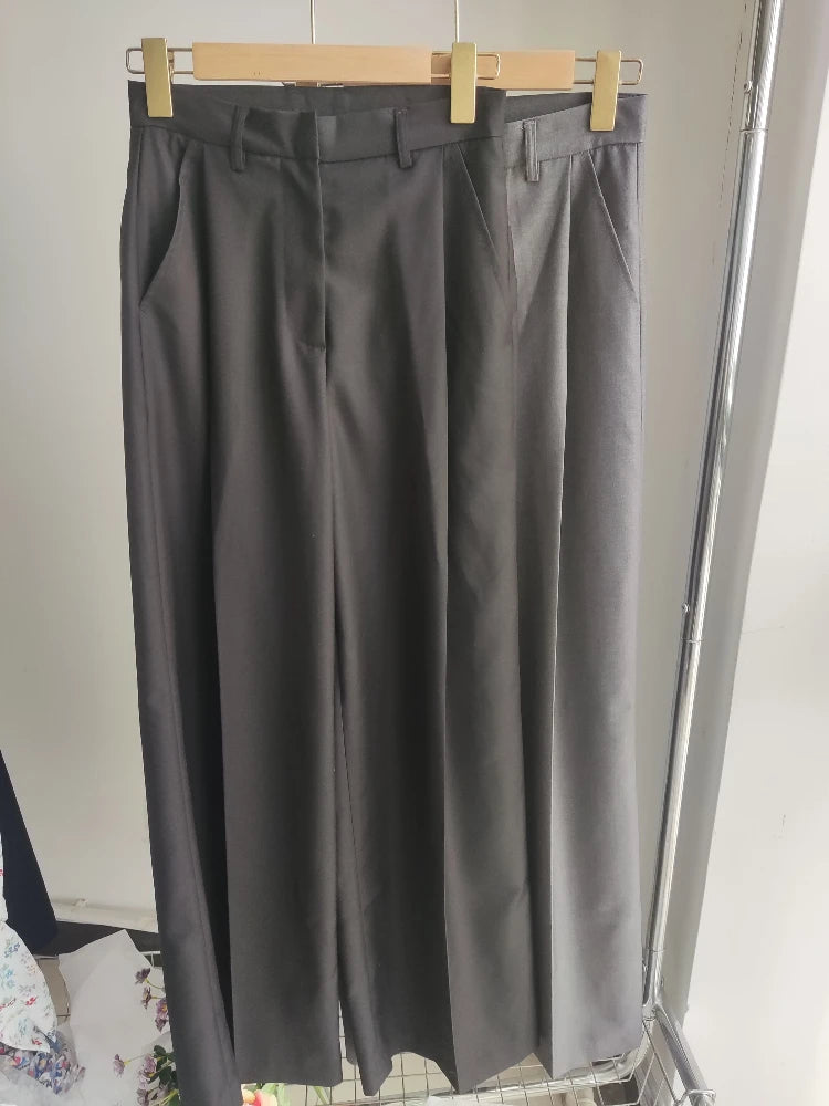 2024 Spring Autumn New Style Trousers Slim Tall Casual Floor Mopping Pants